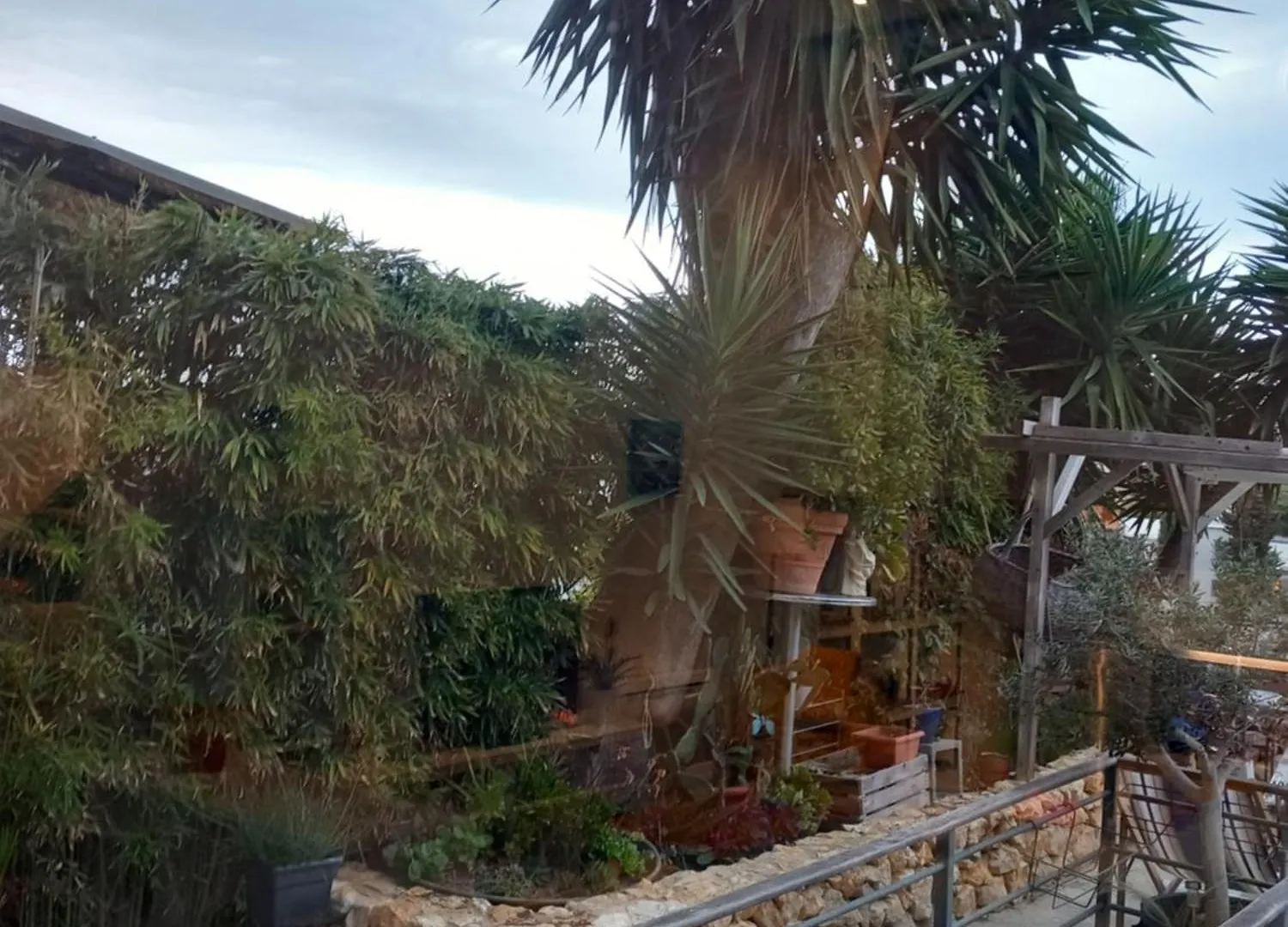 Appartement Vue Notre Dame + Exterieur Verdoyant Marseille